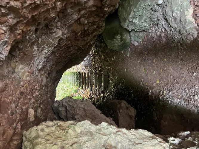 Fasten-wandern-Patrizia