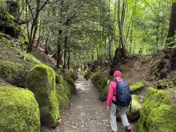 Hohle-Gasse-Küssnacht